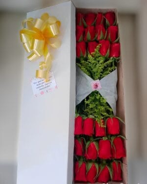 Caja por 24 rosas R54