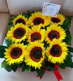 Caja de girasoles R140